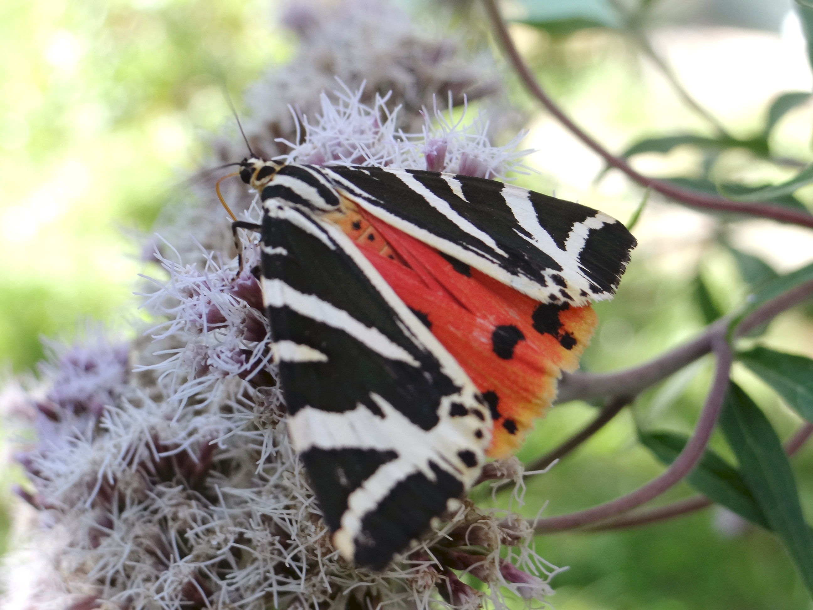 rencontres natureparif